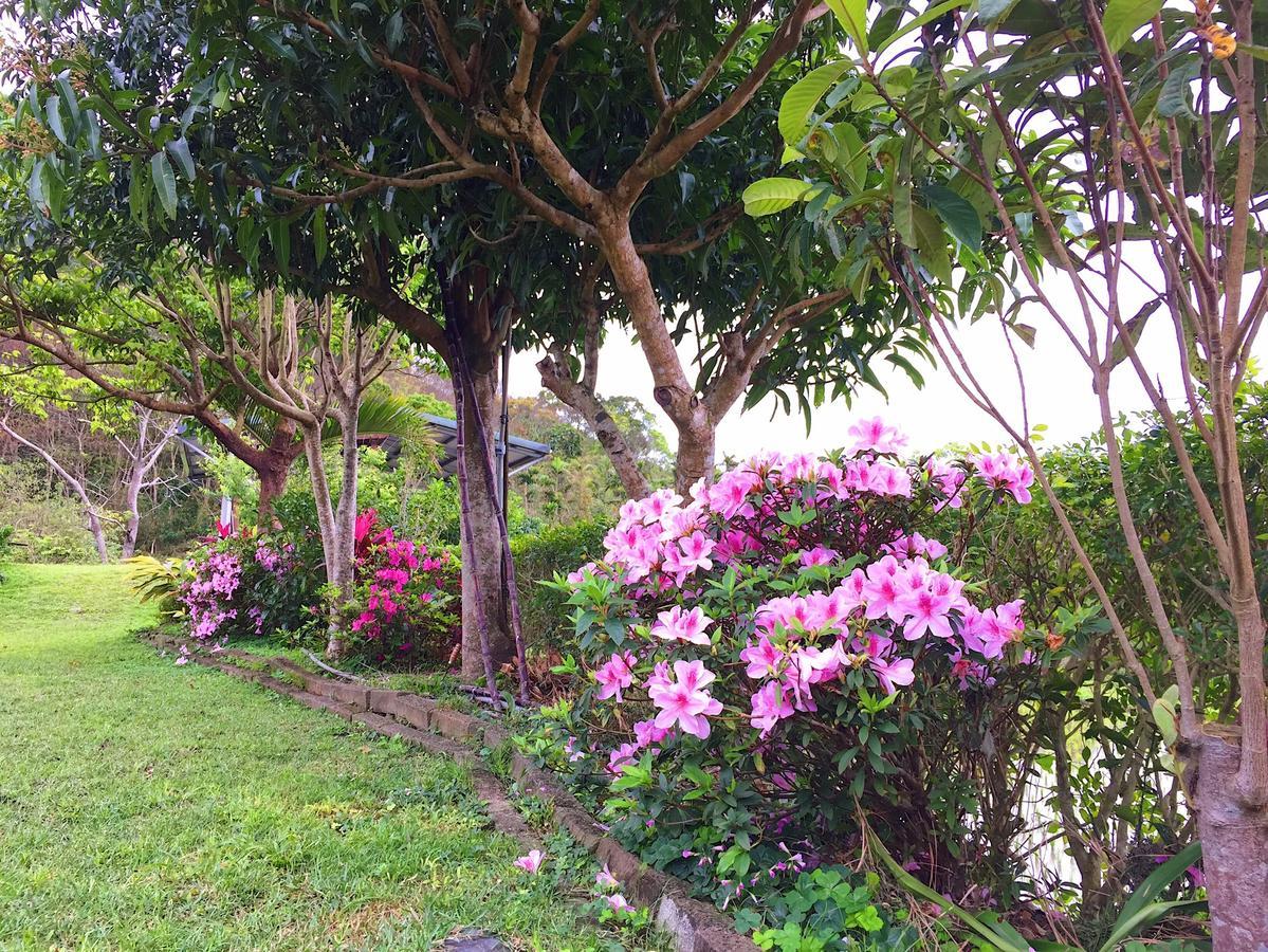 Jiu An Qing Jing Homestay 푸리 외부 사진
